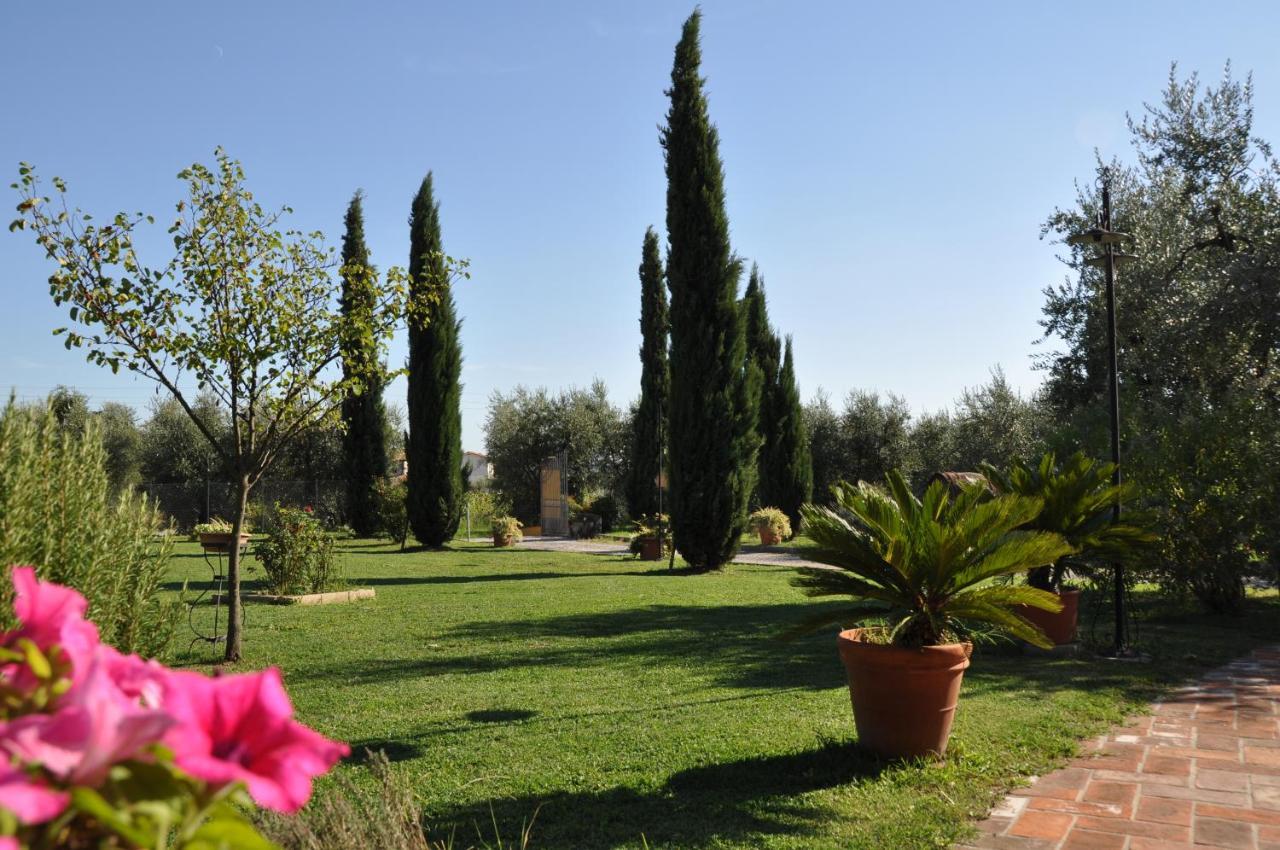 Agriturismo Tori 2 Montecarlo Ngoại thất bức ảnh